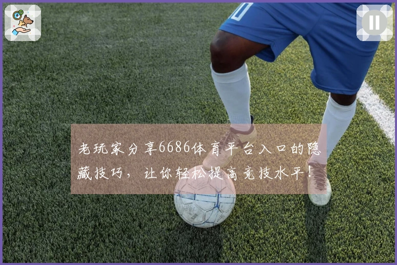 老玩家分享6686体育平台入口的隐藏技巧，让你轻松提高竞技水平！