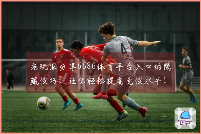 老玩家分享6686体育平台入口的隐藏技巧，让你轻松提高竞技水平！