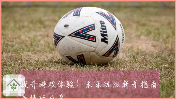 提升游戏体验！米乐玩法新手指南与技巧分享