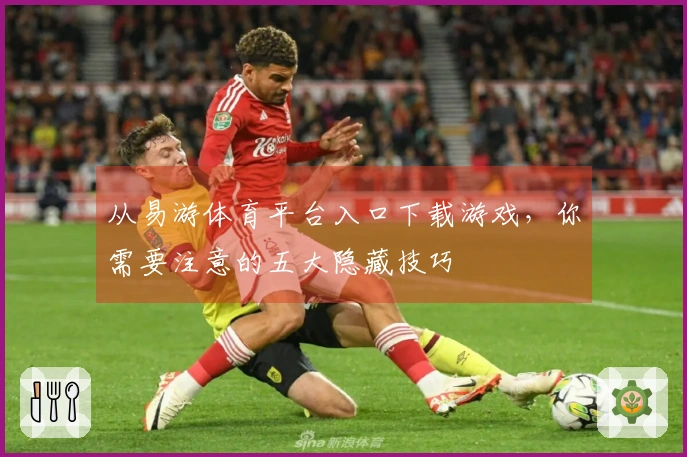 从易游体育平台入口下载游戏，你需要注意的五大隐藏技巧