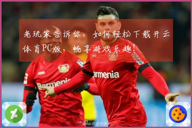 老玩家告诉你，如何轻松下载开云体育PC版，畅享游戏乐趣！
