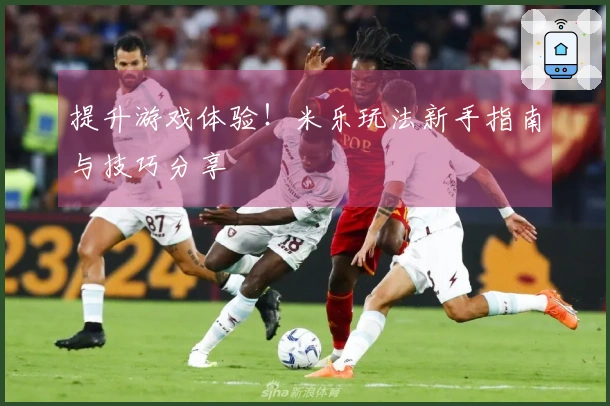 提升游戏体验！米乐玩法新手指南与技巧分享