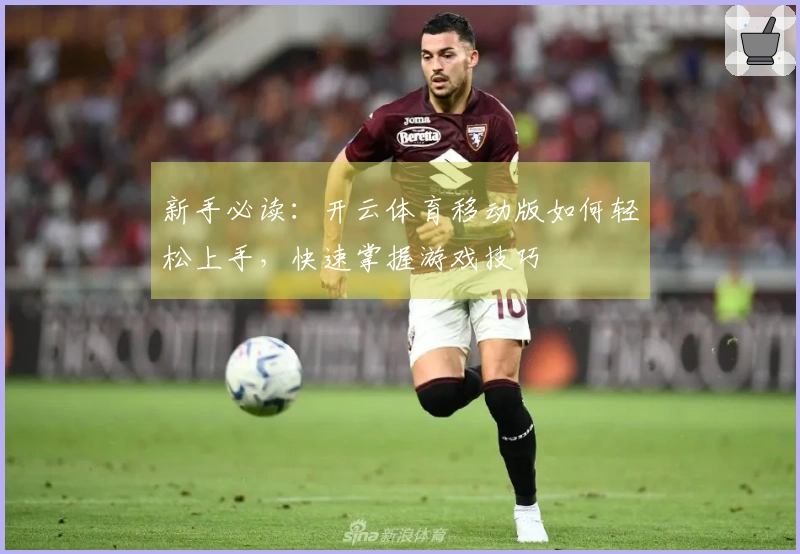 新手必读：开云体育移动版如何轻松上手，快速掌握游戏技巧